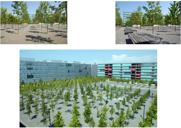 Pavimento ecologico en Orlikon Park Zurich