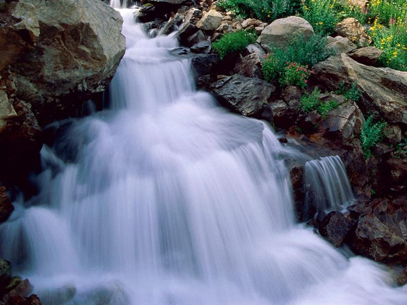 Aprovechamiento racional del agua en usos urbanos y paisajsticos.