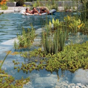 Biofiltro de piscina natural