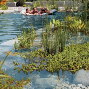 Biofiltro de piscina natural Biofiltro de piscina natural