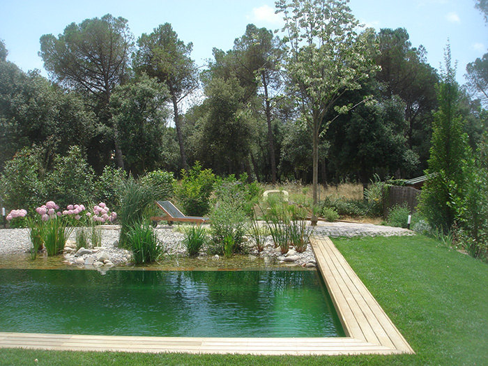 construccion piscina natural 10