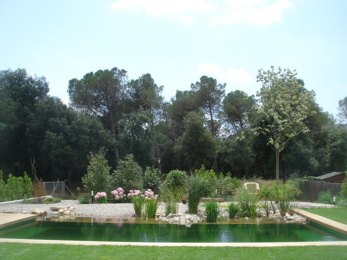 construccion piscina natural 11