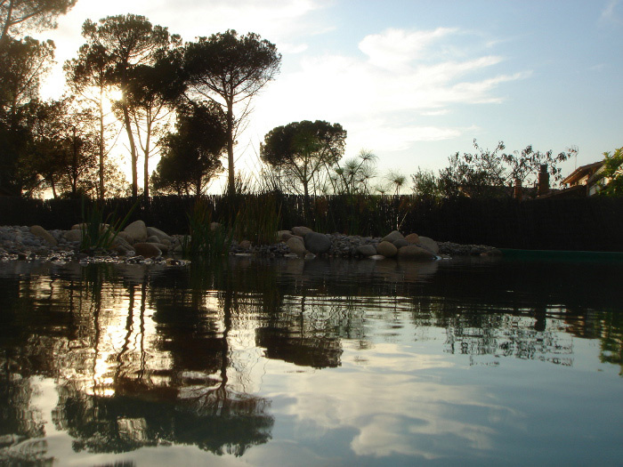 construccion piscina natural 7
