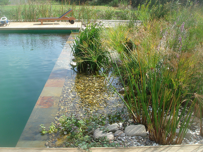 construccion piscina natural 9