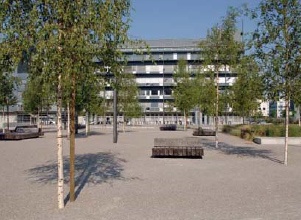 Pavimento ecologico en Zurick Orlikon Park